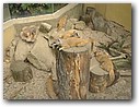 Foto_062.jpg