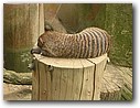 Foto_063.jpg