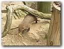 Foto_064.jpg