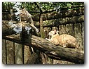 Foto_066.jpg