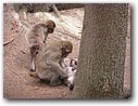 Foto_068.jpg