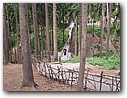 Foto_071.jpg