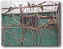 Foto_072.jpg