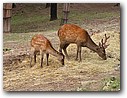 Foto_073.jpg