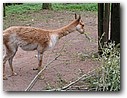 Foto_083.jpg
