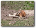 Foto_084.jpg