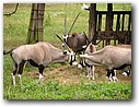 Foto_089.jpg