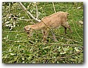 Foto_090.jpg