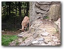 Foto_092.jpg