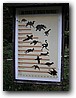 Foto_102.jpg