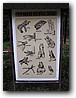 Foto_103.jpg