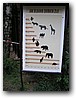 Foto_104.jpg