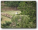 Foto_113.jpg