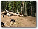 Foto_124.jpg
