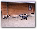 Foto_127.jpg