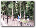 Foto_128.jpg