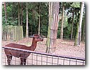 Foto_132.jpg