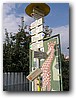 Foto_139.jpg