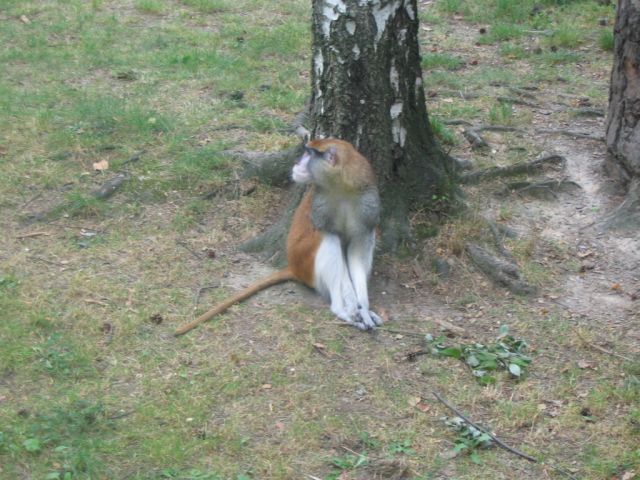 Foto_009.jpg