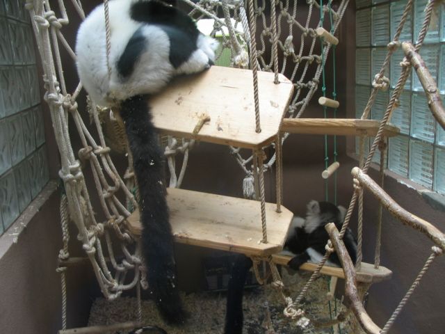 Foto_010.jpg