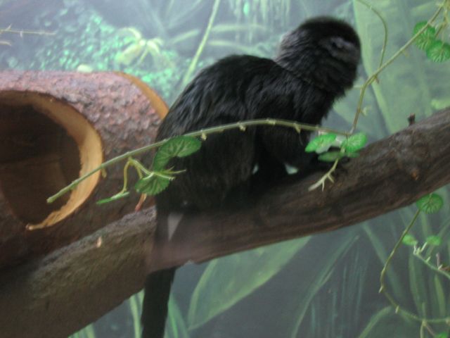 Foto_011.jpg