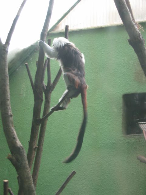 Foto_012.jpg