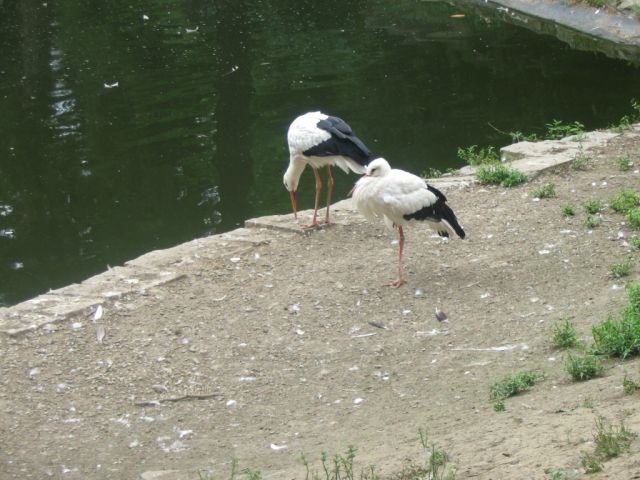 Foto_015.jpg