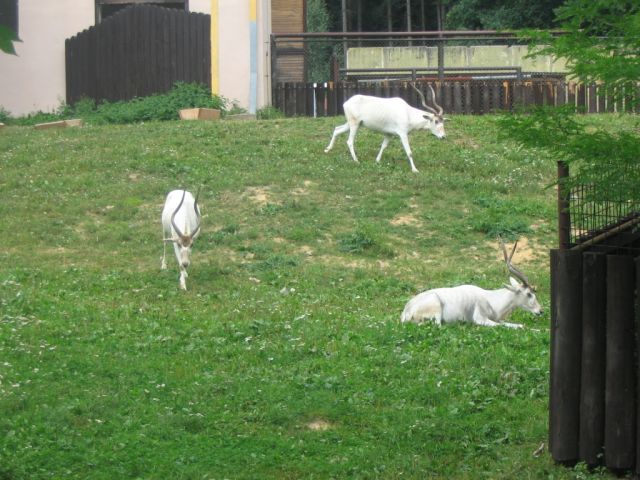 Foto_017.jpg