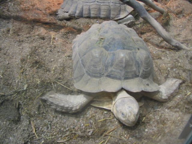 Foto_020.jpg