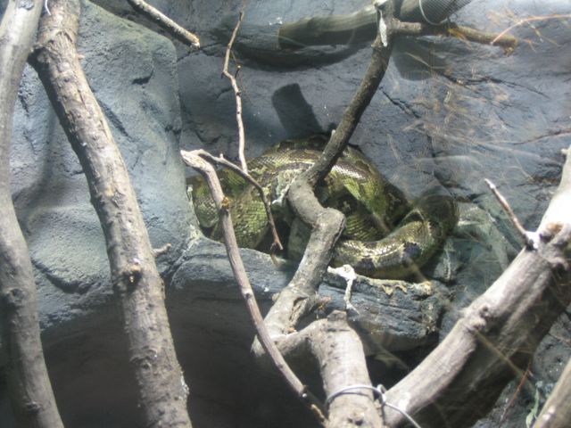 Foto_021.jpg