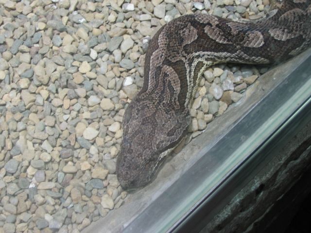 Foto_022.jpg