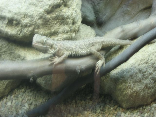 Foto_023.jpg