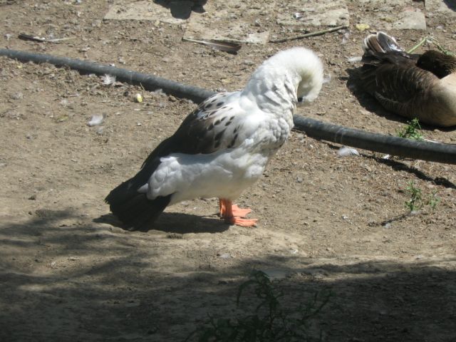 Foto_025.jpg
