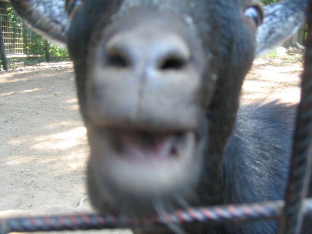 Foto_026.jpg