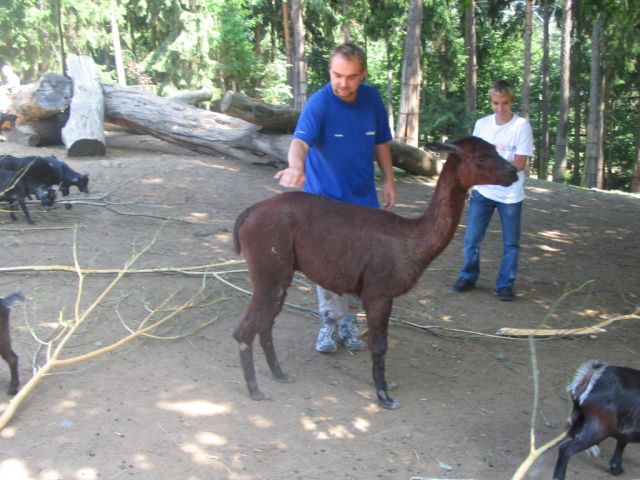 Foto_030.jpg