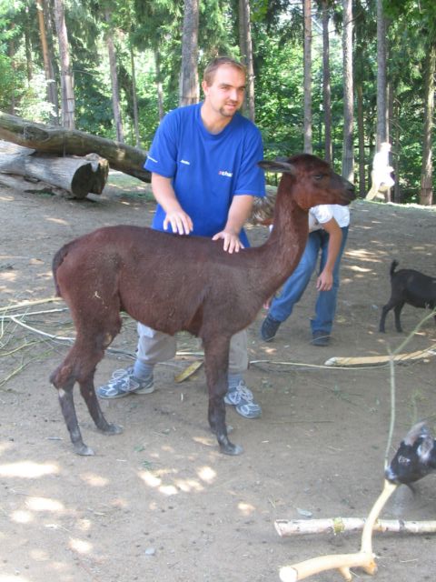 Foto_031.jpg