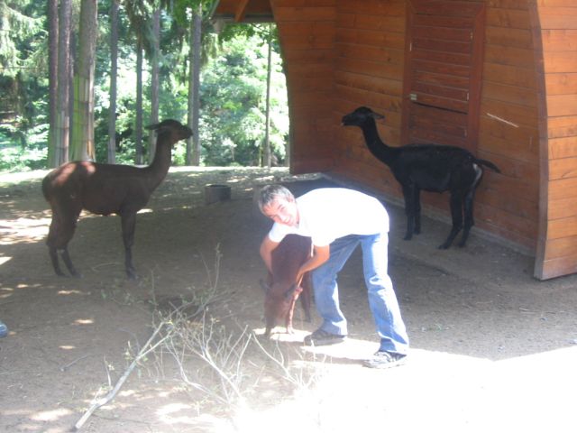 Foto_032.jpg