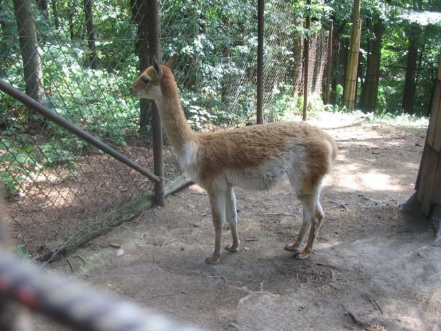 Foto_036.jpg