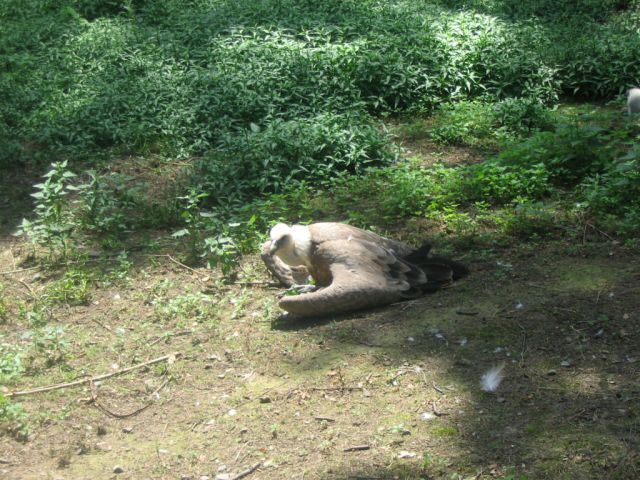 Foto_037.jpg