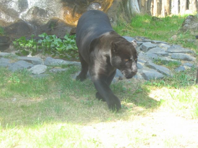 Foto_038.jpg
