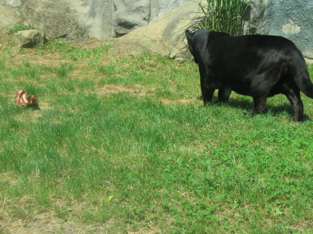 Foto_039.jpg