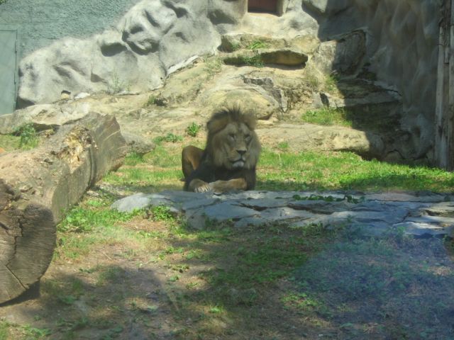 Foto_041.jpg