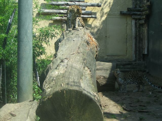 Foto_042.jpg