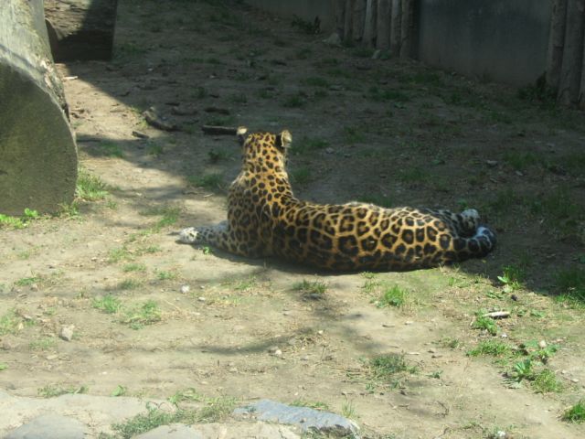 Foto_043.jpg