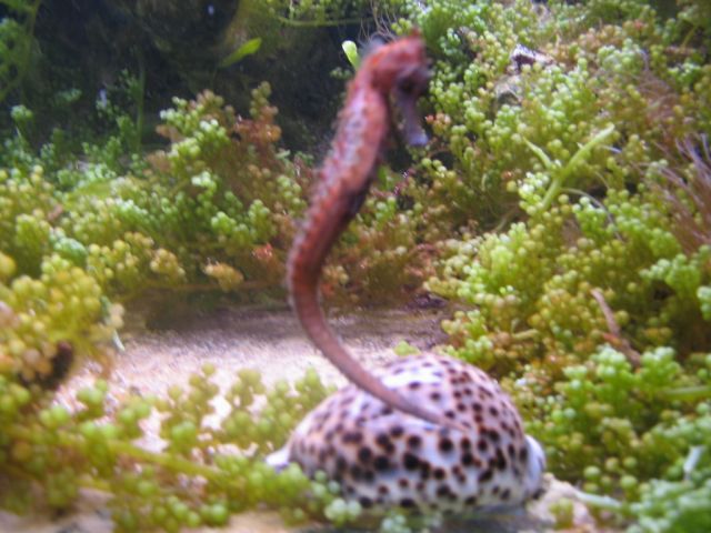 Foto_044.jpg