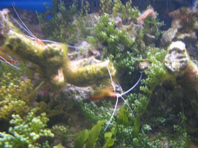 Foto_045.jpg