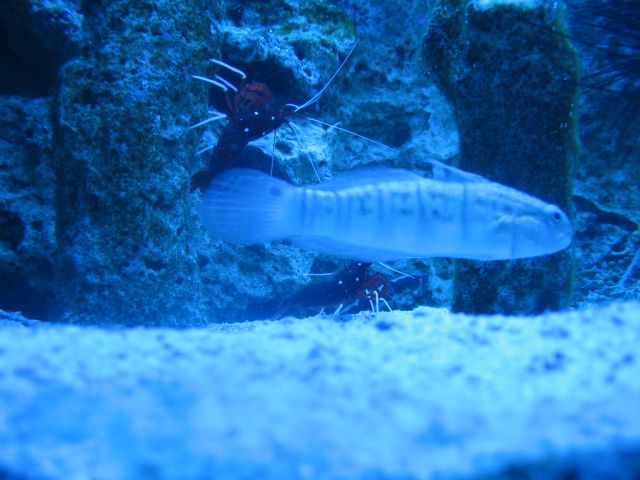 Foto_047.jpg