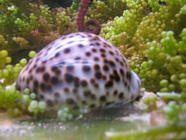 Foto_048.jpg