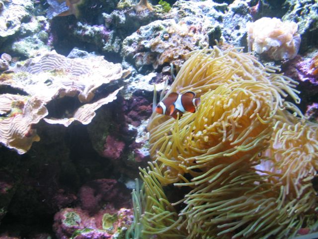 Foto_050.jpg