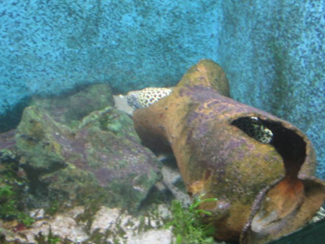 Foto_053.jpg